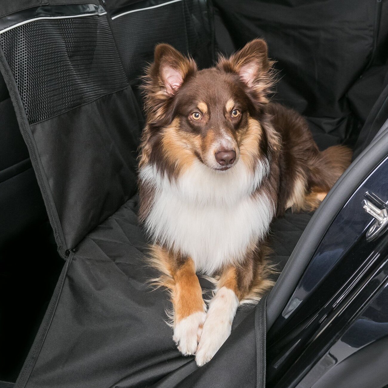 Hunde Auto Schondecke für die Rückbank Bild 11