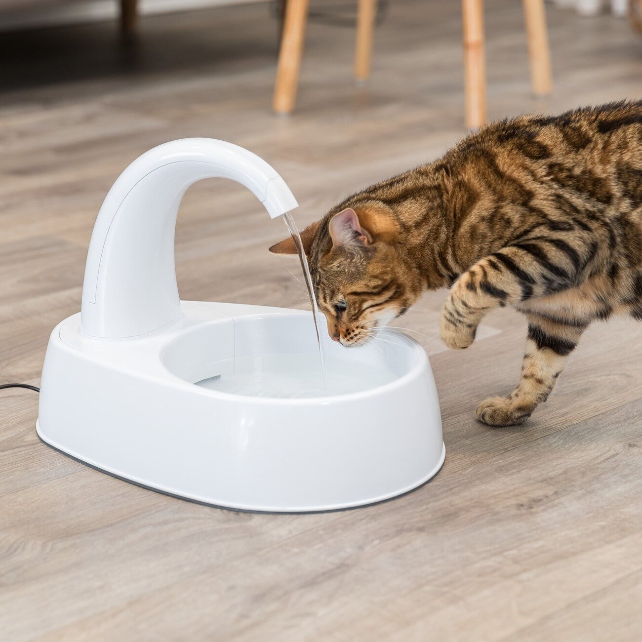 Trinkbrunnen Curved Stream für Katzen Bild 2