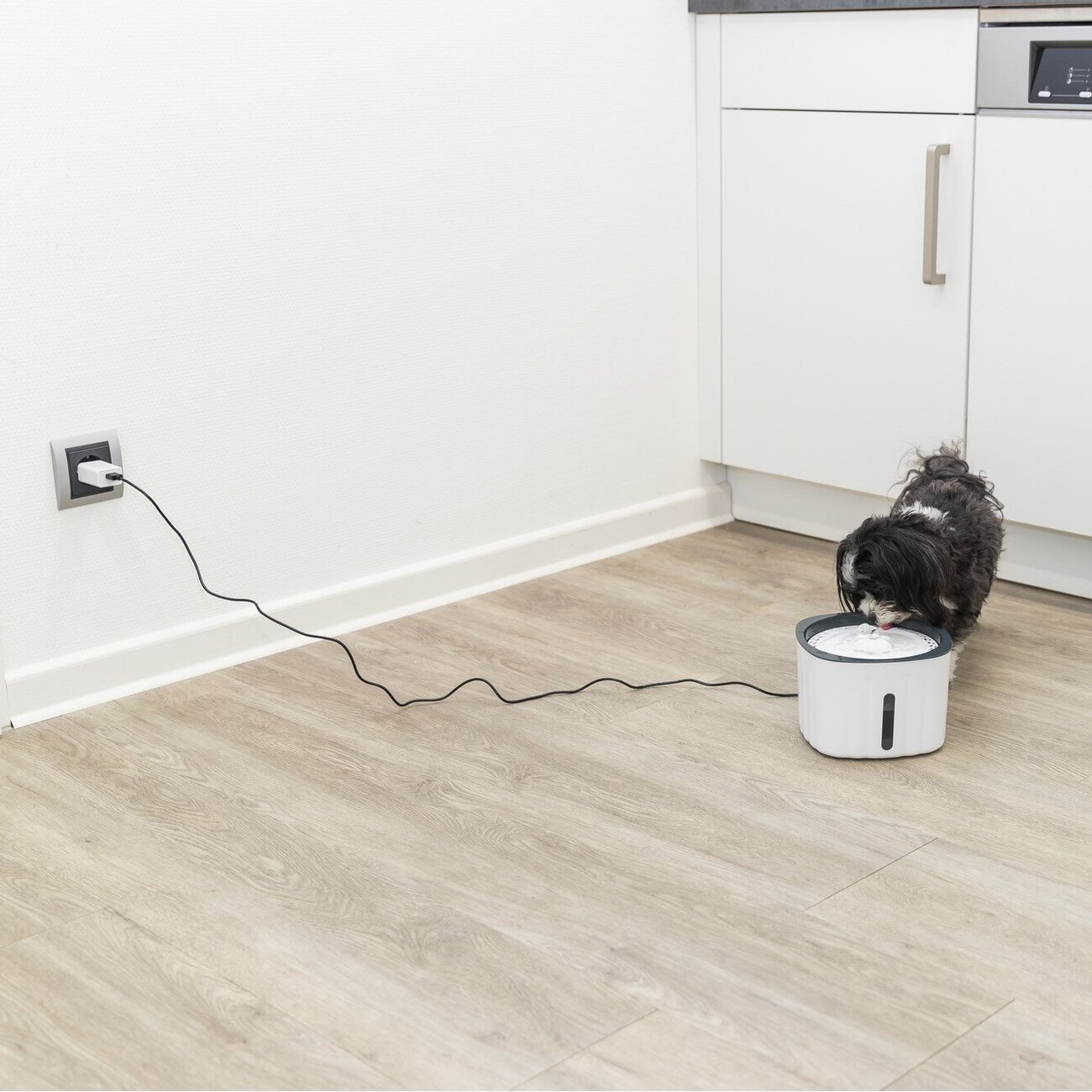 Trinkbrunnen Flower für Hunde Bild 5