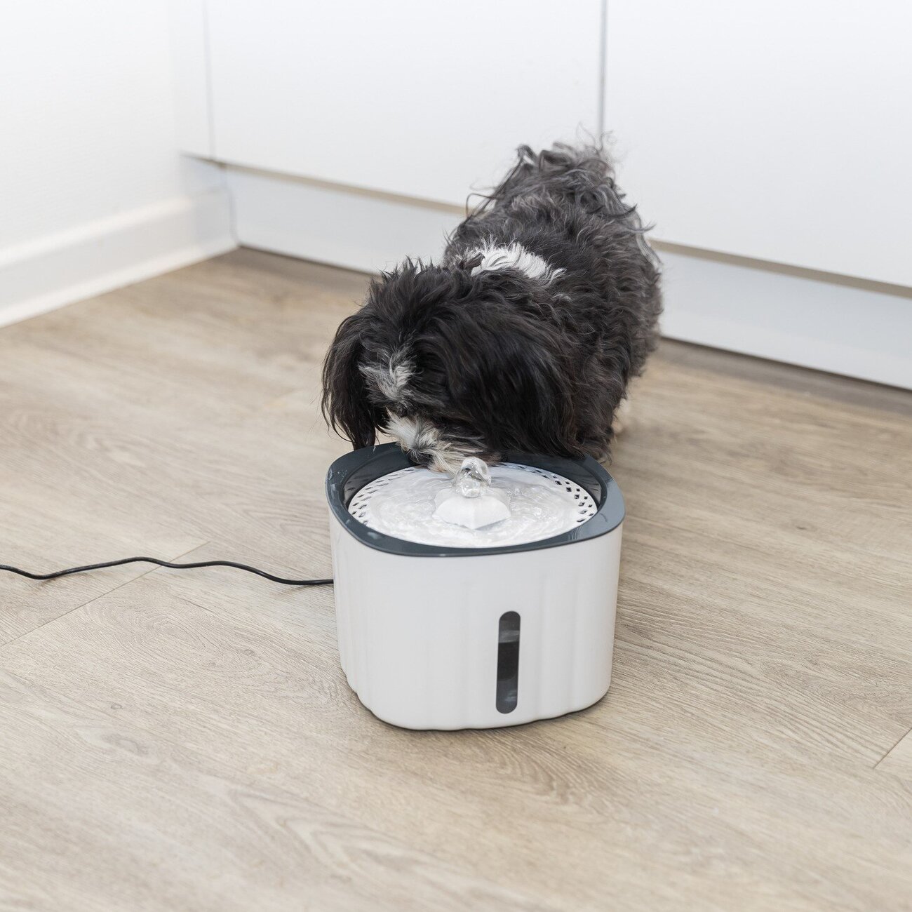 Trinkbrunnen Flower für Hunde Bild 2