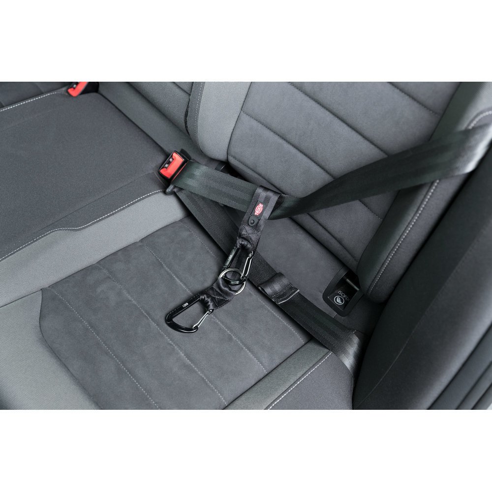 Universal Anschnallschlaufe Bild 2