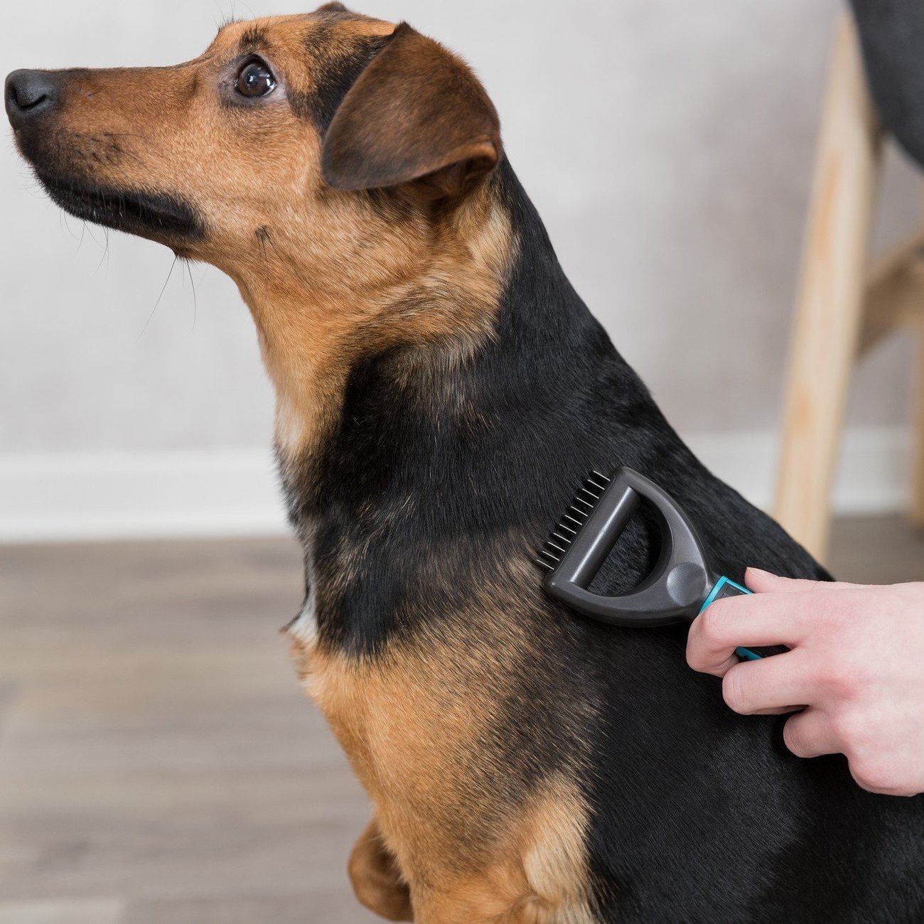 Universal Striegel Coater Bild 2