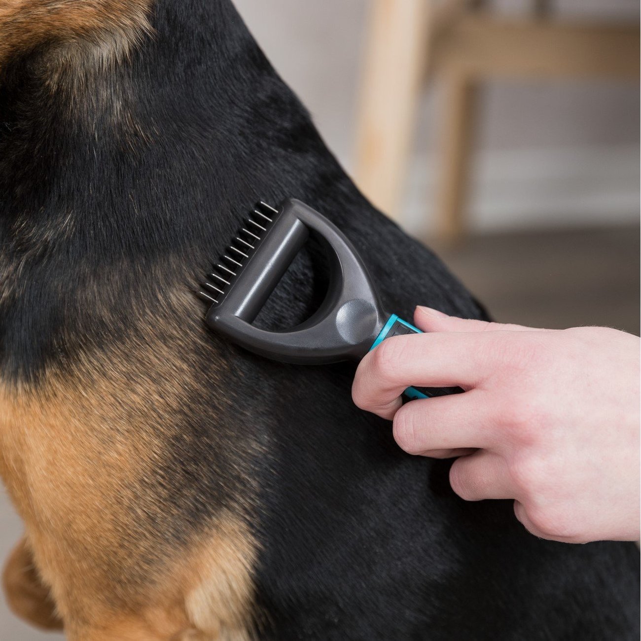 Universal Striegel Coater Bild 6