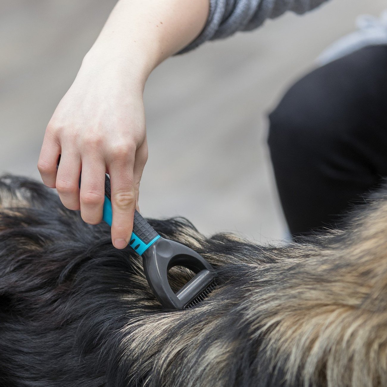 Universal Striegel Coater Bild 9