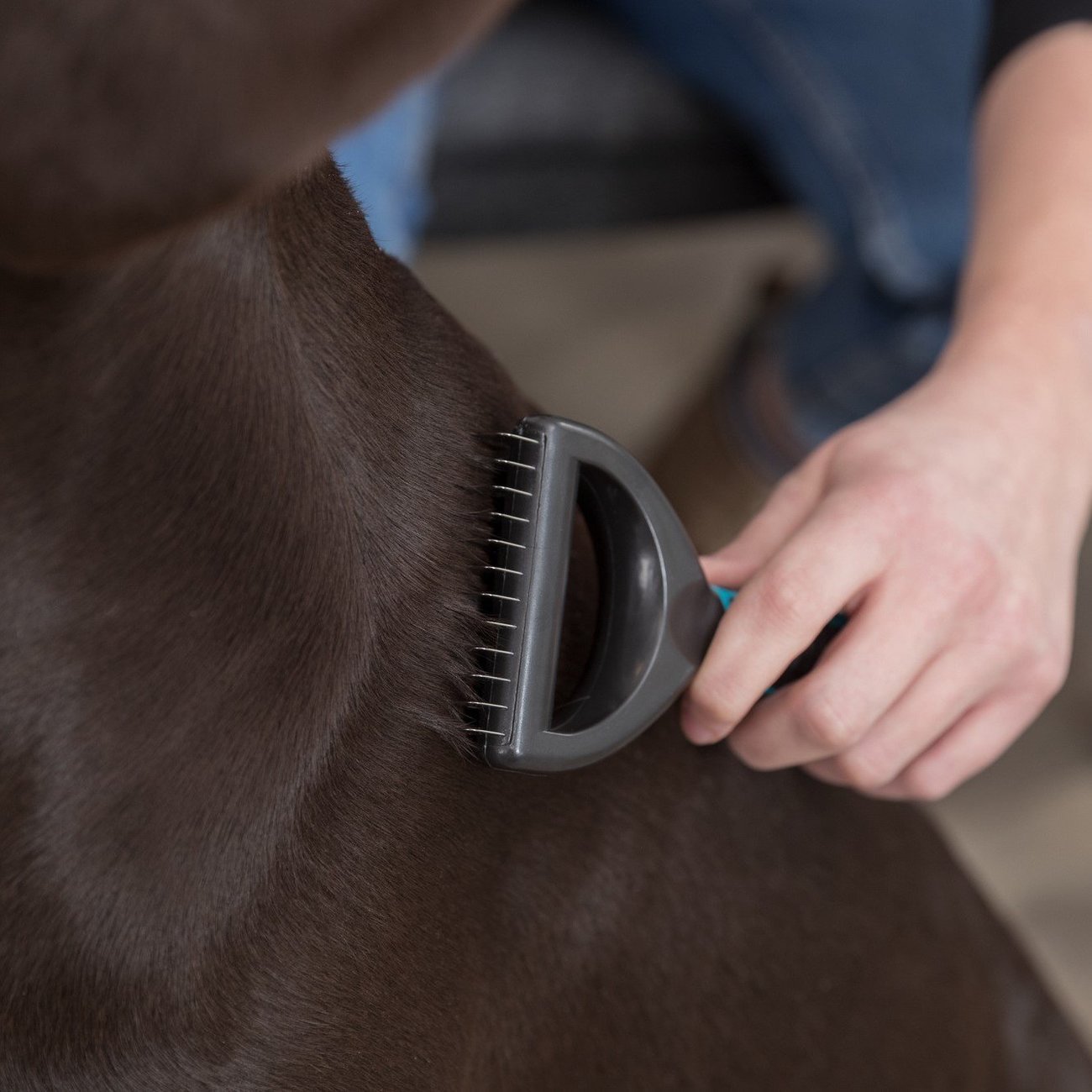 Universal Striegel Coater Bild 10