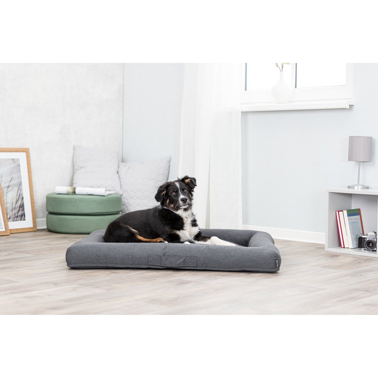 Trixie Vital orthopädisches Hundebett Pulito Bild 4