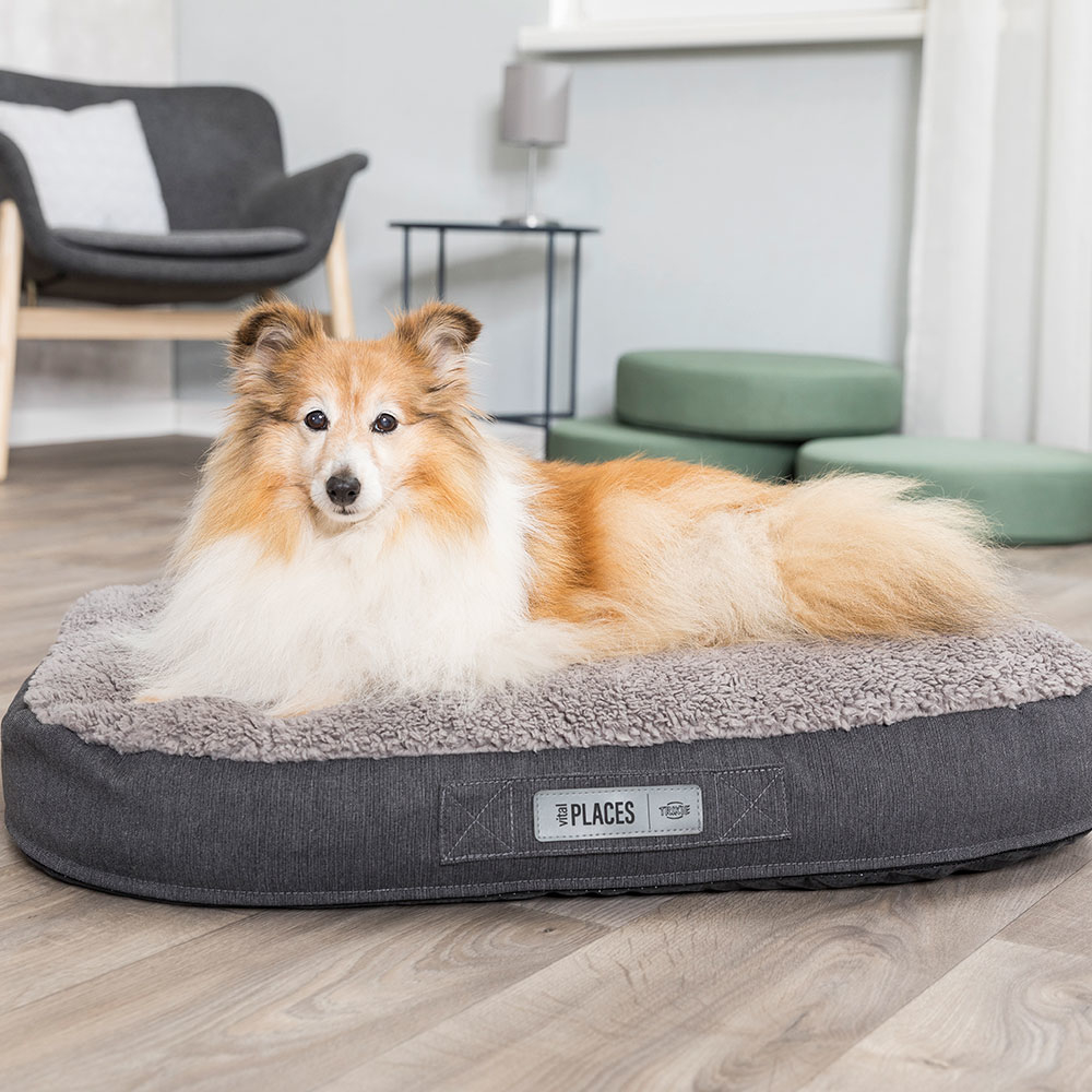 HOME Edition Vital Kissen Bendson Bild 2