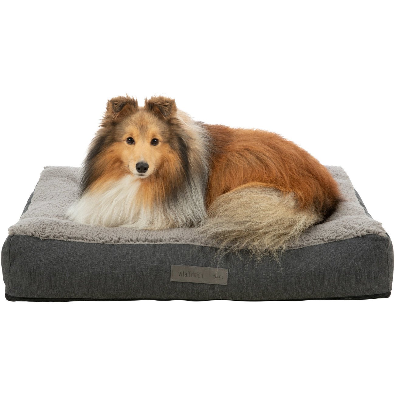 Vital Hundekissen, Hundematratze Talis Bild 3