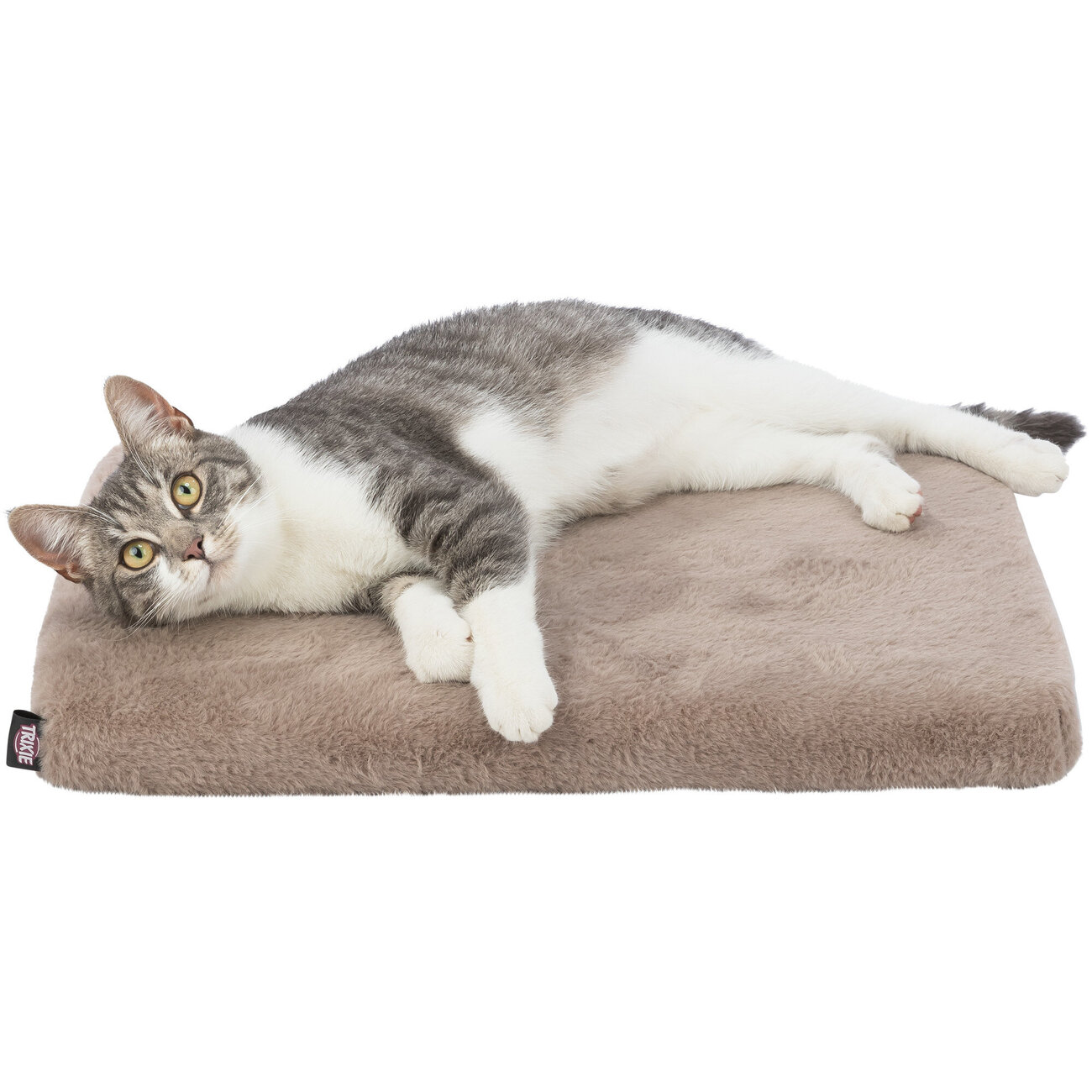 Vital Hundematratze Lonni Bild 5