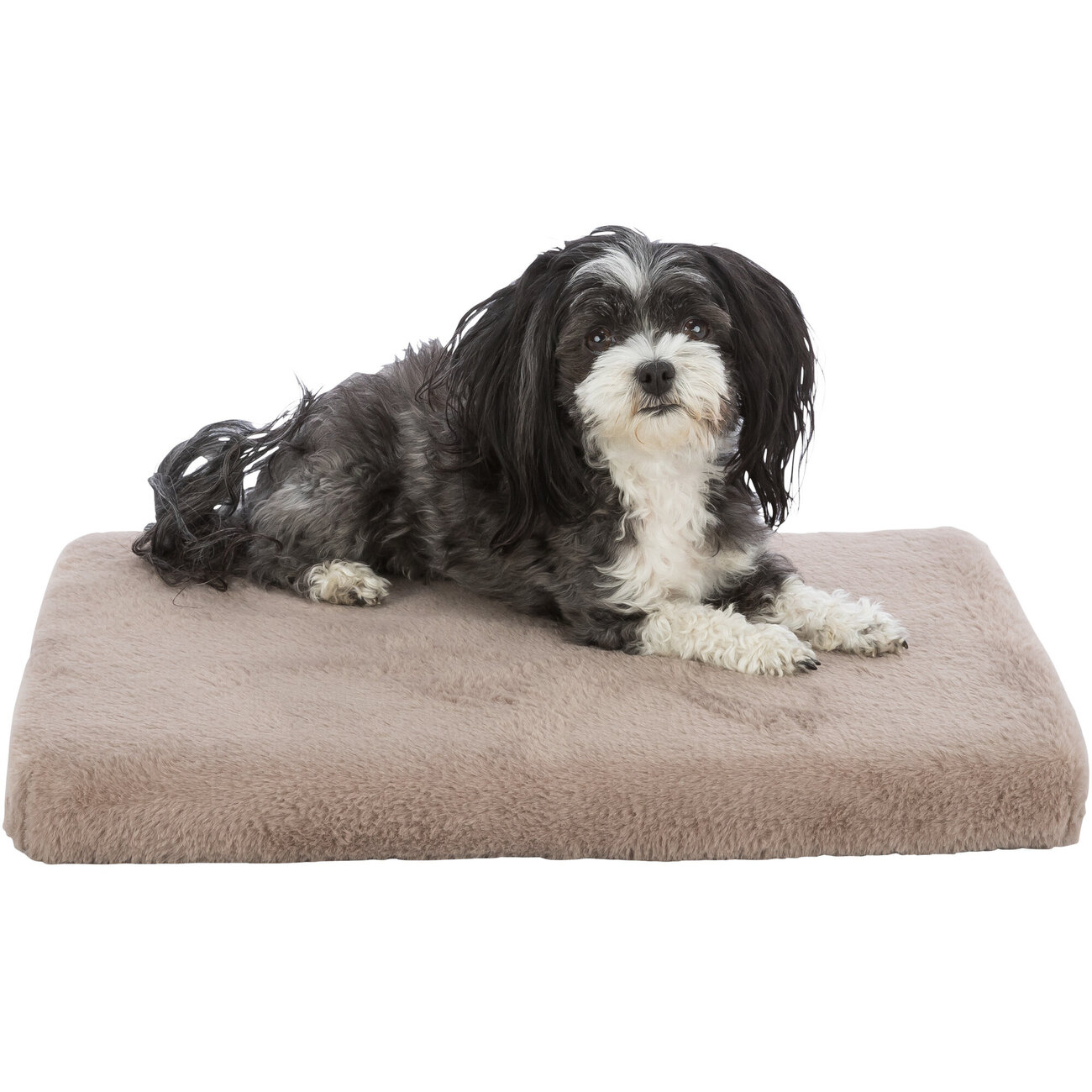 Vital Hundematratze Lonni Bild 4