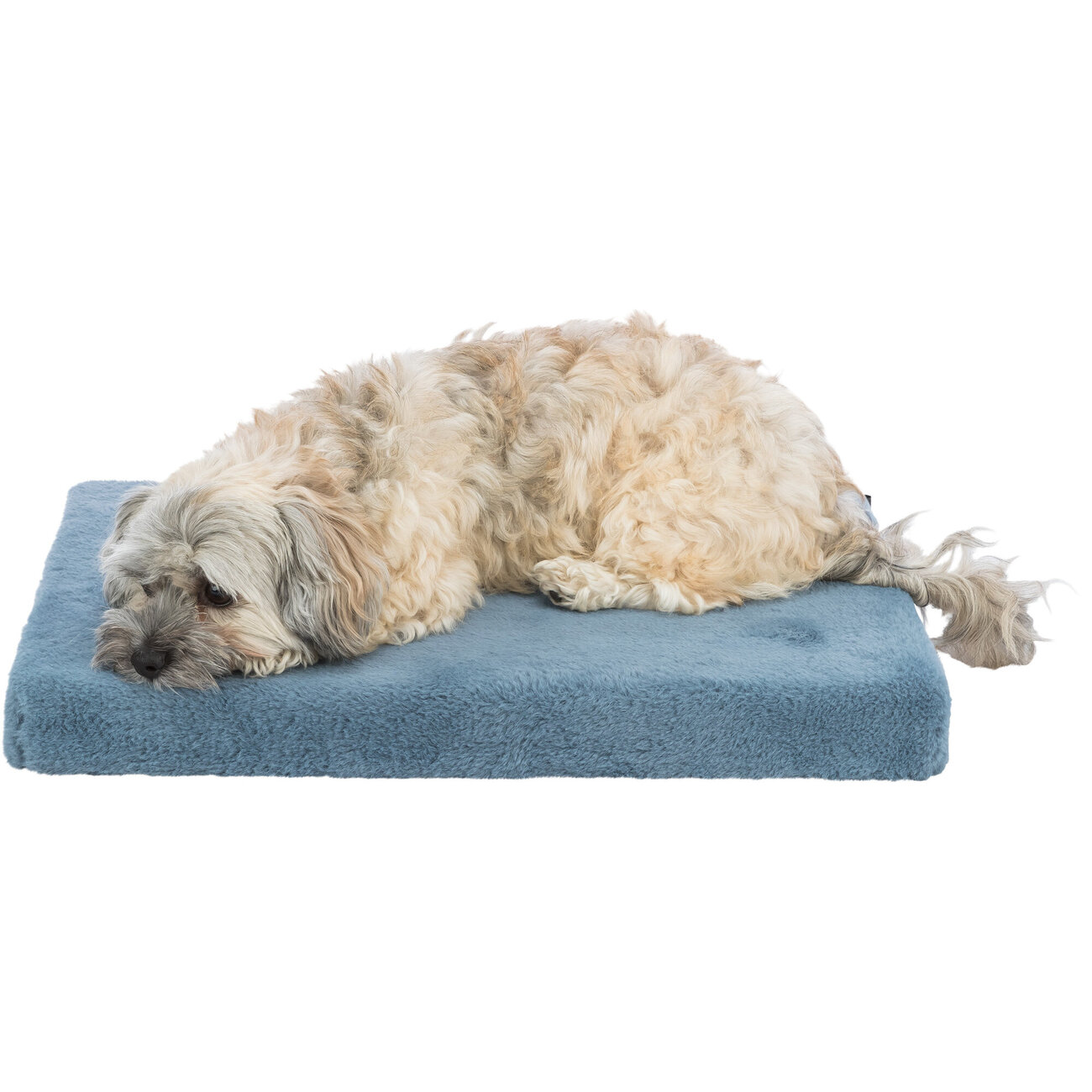 Vital Hundematratze Lonni Bild 2