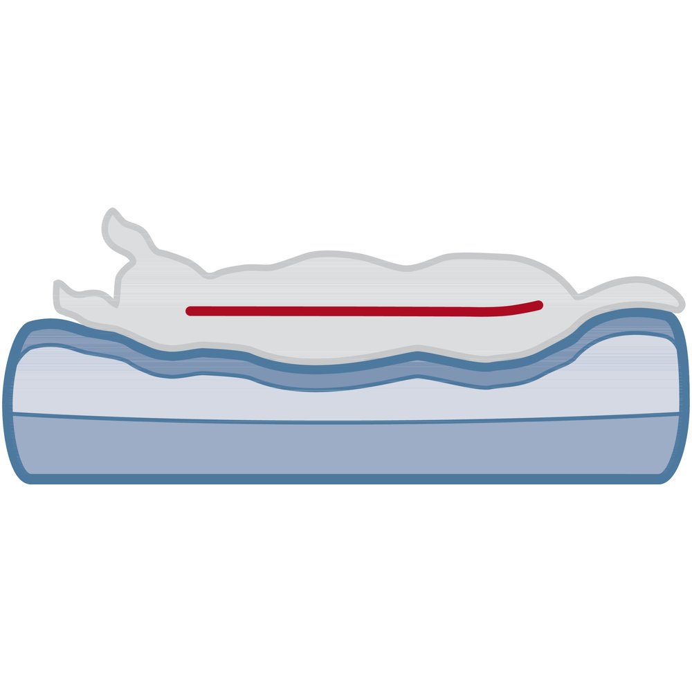 Vital Sofa Bendson Bild 13