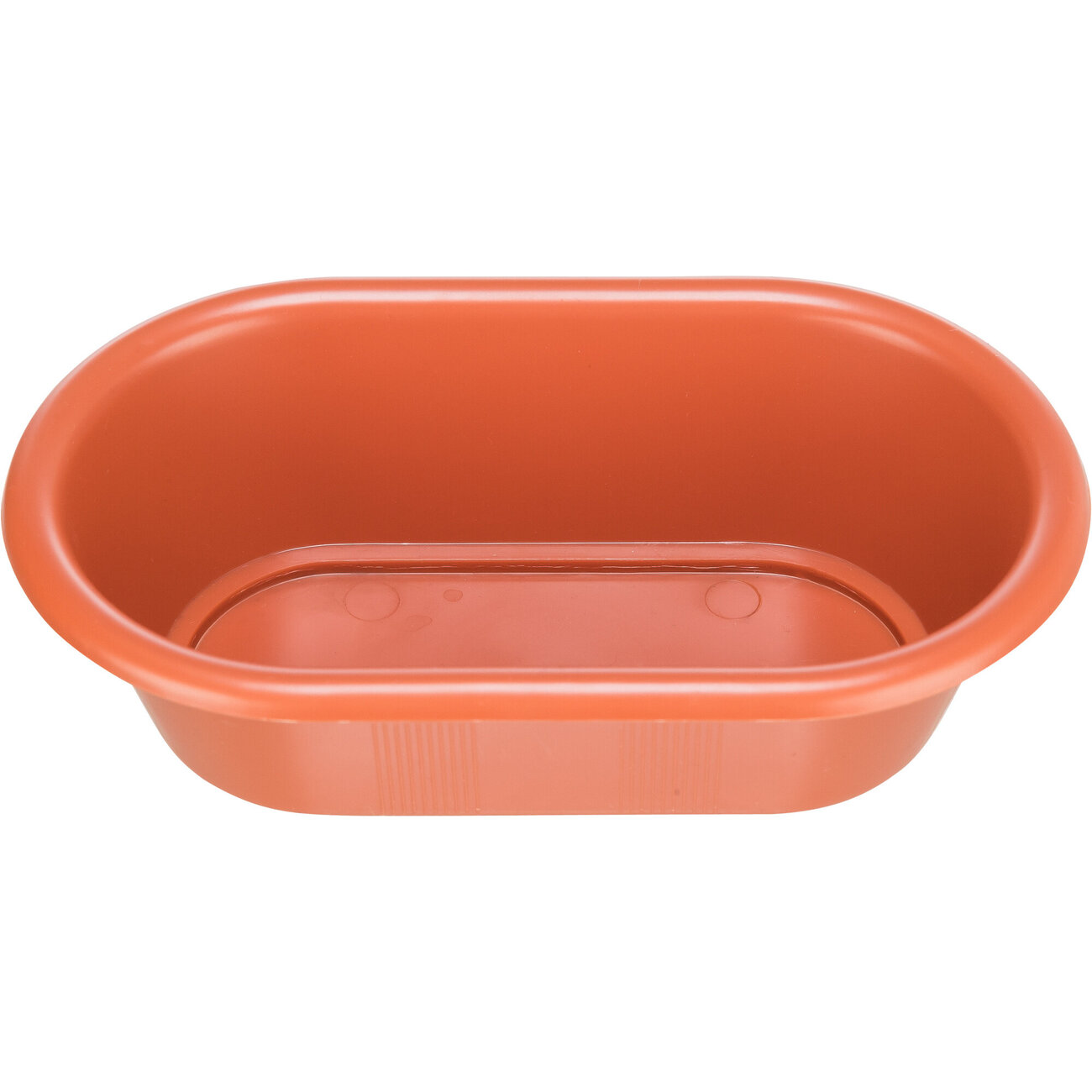 Vogel Badewanne Bild 7