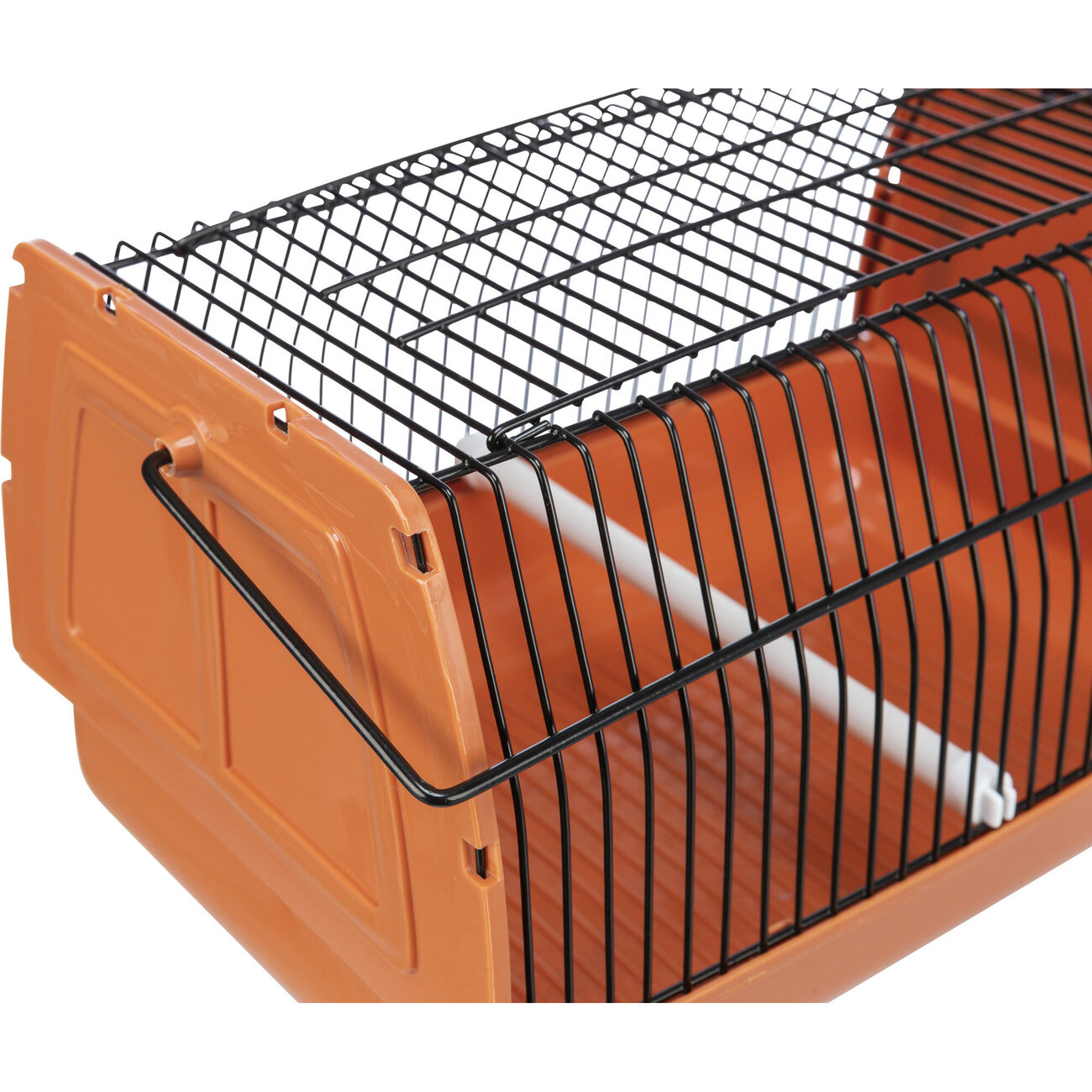 Vogeltransportbox und Kleintiertransportbox Bild 3