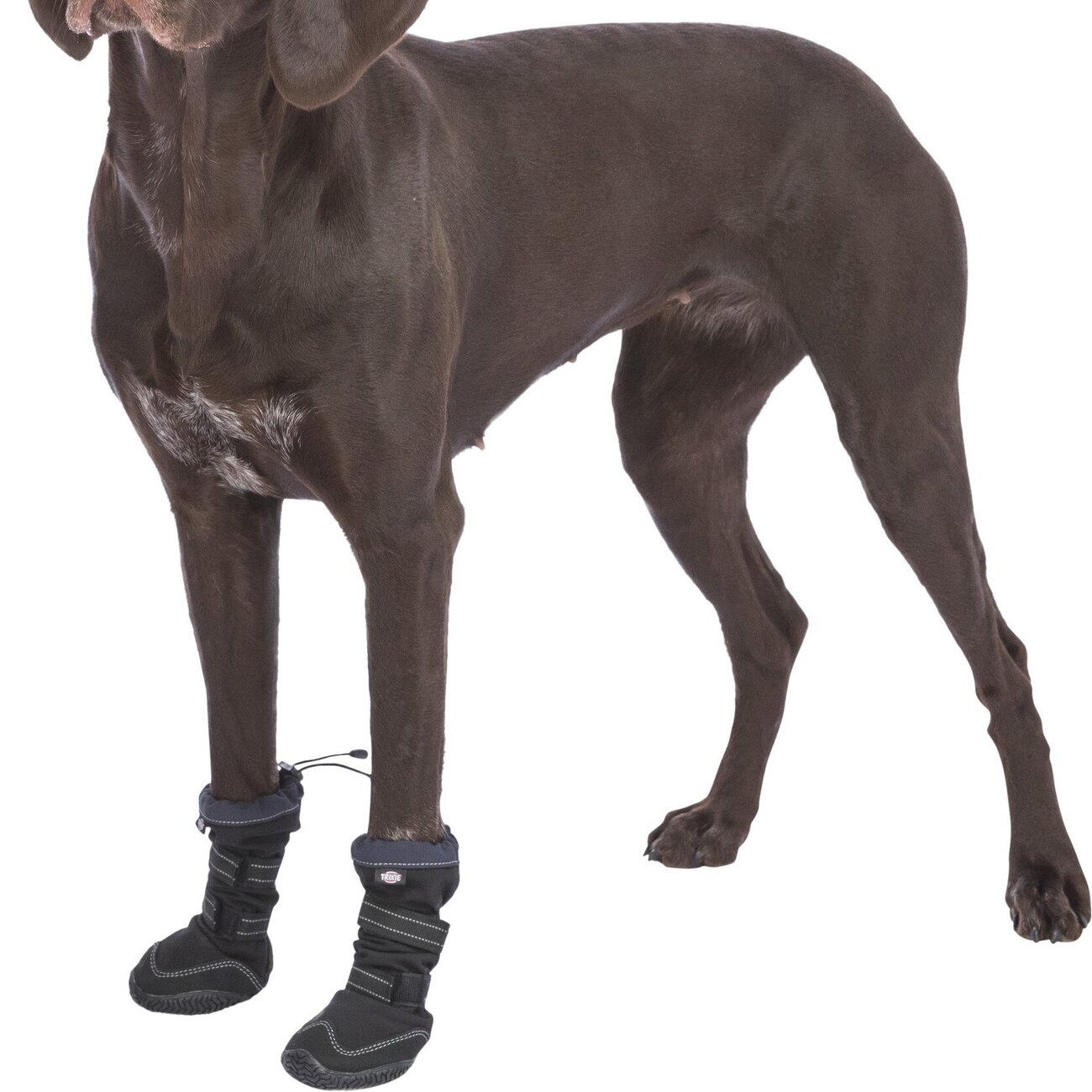 Pfotenschutz Walker Active Long für Hunde mit Profilsohle Bild 12