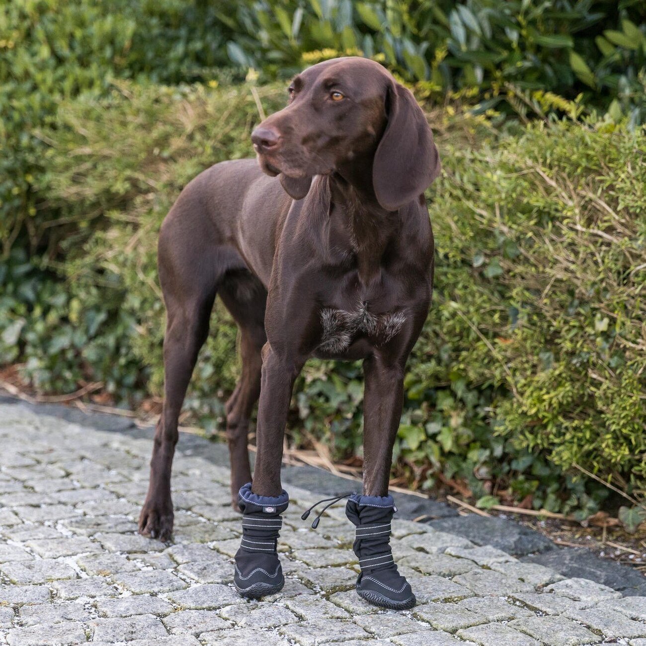 Pfotenschutz Walker Active Long für Hunde mit Profilsohle Bild 2