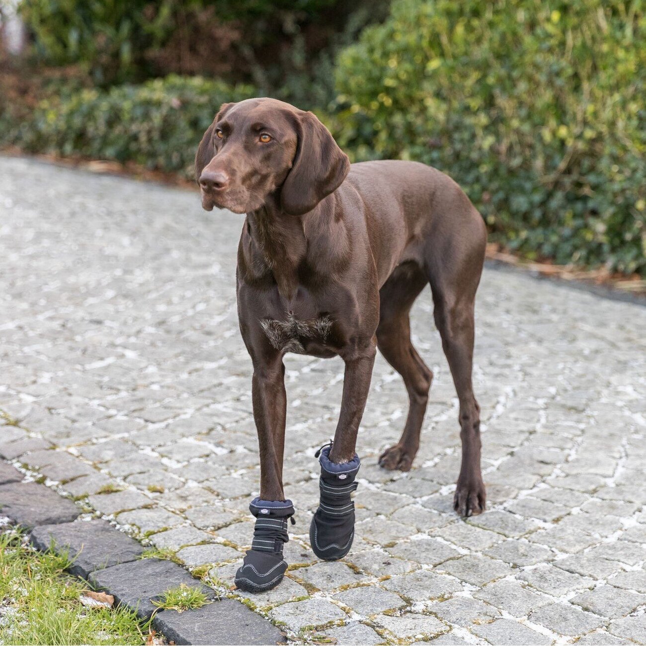 Pfotenschutz Walker Active Long für Hunde mit Profilsohle Bild 15