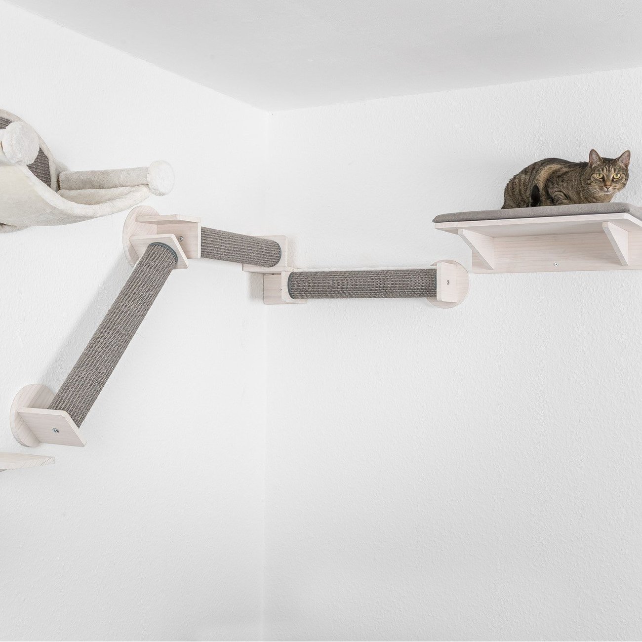 drei Kletterstämme gewinkelt zur Wandmontage Bild 8