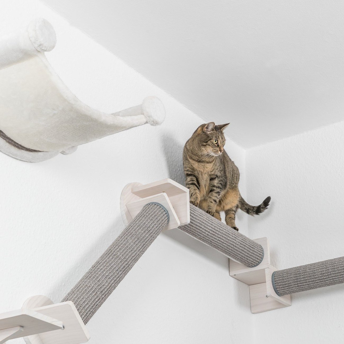 Wandelement III für Kletterlandschaft Bild 2