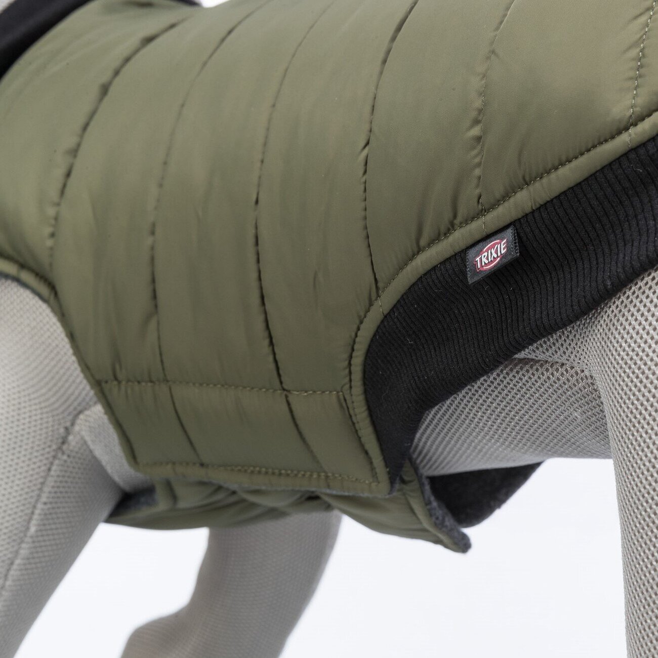 Hundemantel Arlay wasserabweisend Bild 7