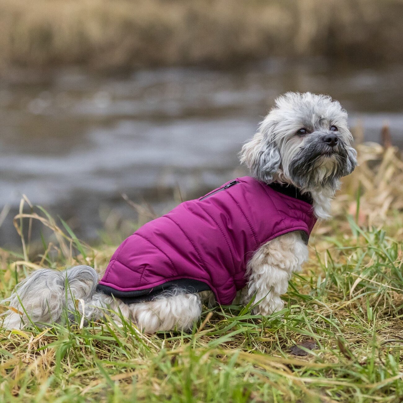 Hundemantel Arlay wasserabweisend Bild 9