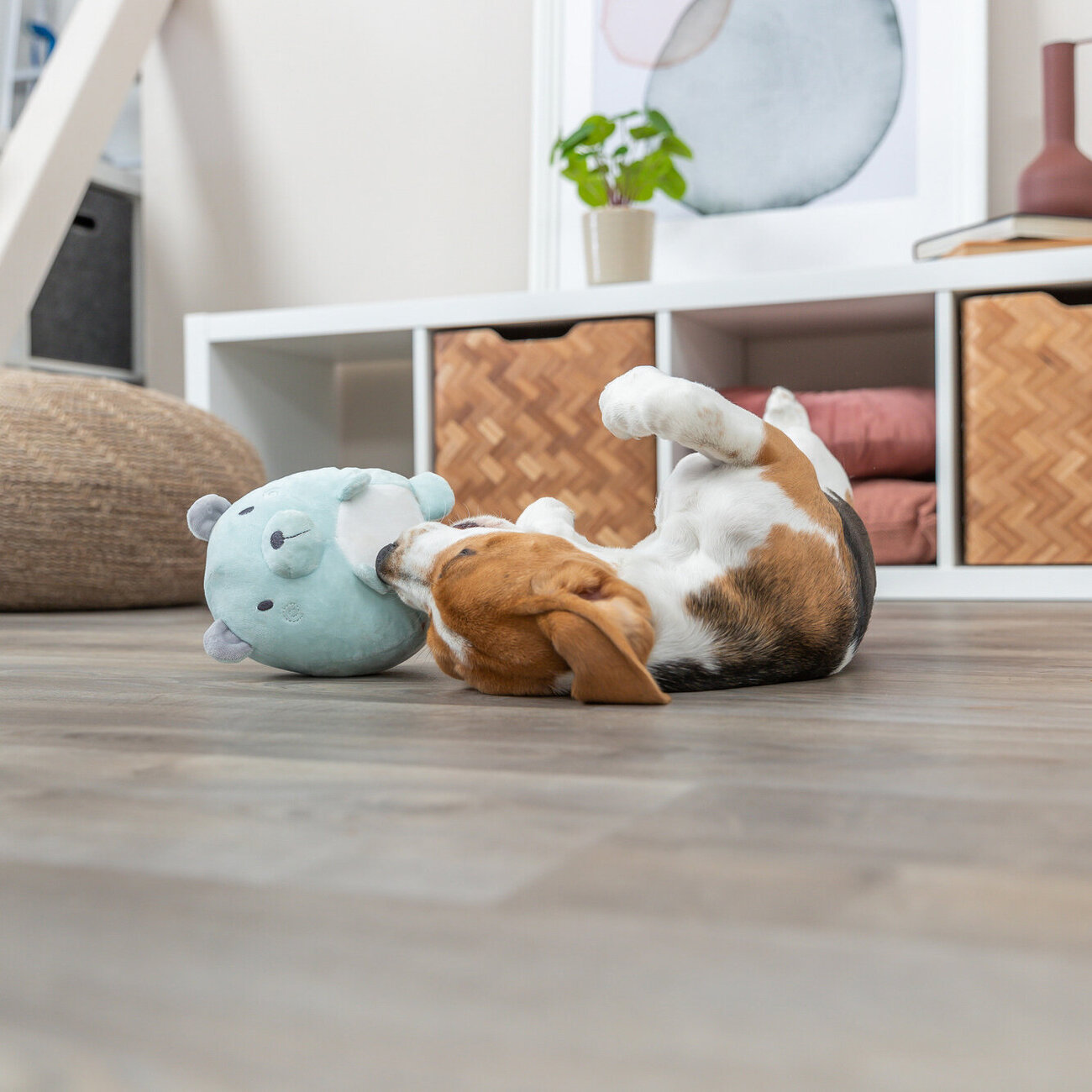 Welpenspielzeug Kuschelbär Bild 2