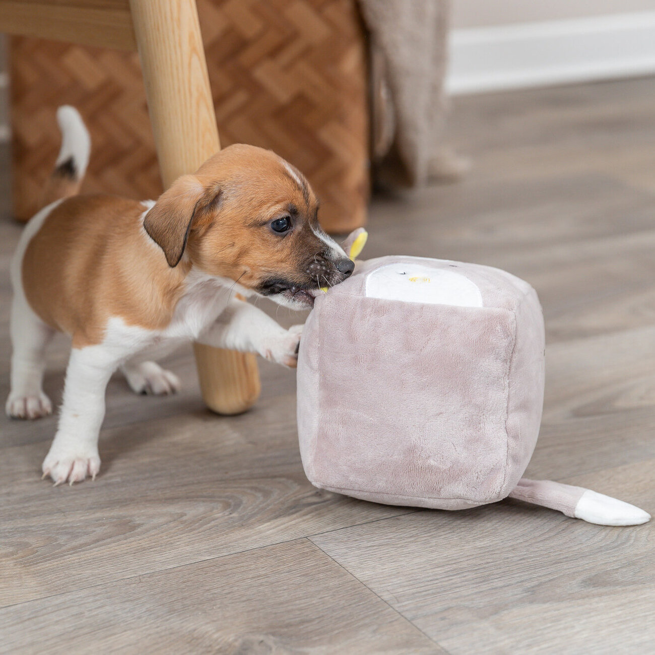 Welpenspielzeug Kuschelfuchs Bild 9