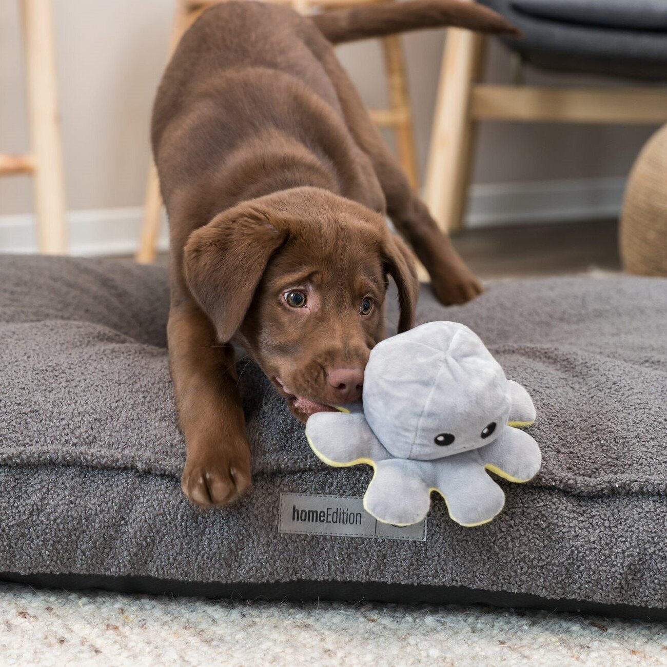 Wende-Oktopus für Hunde Bild 2