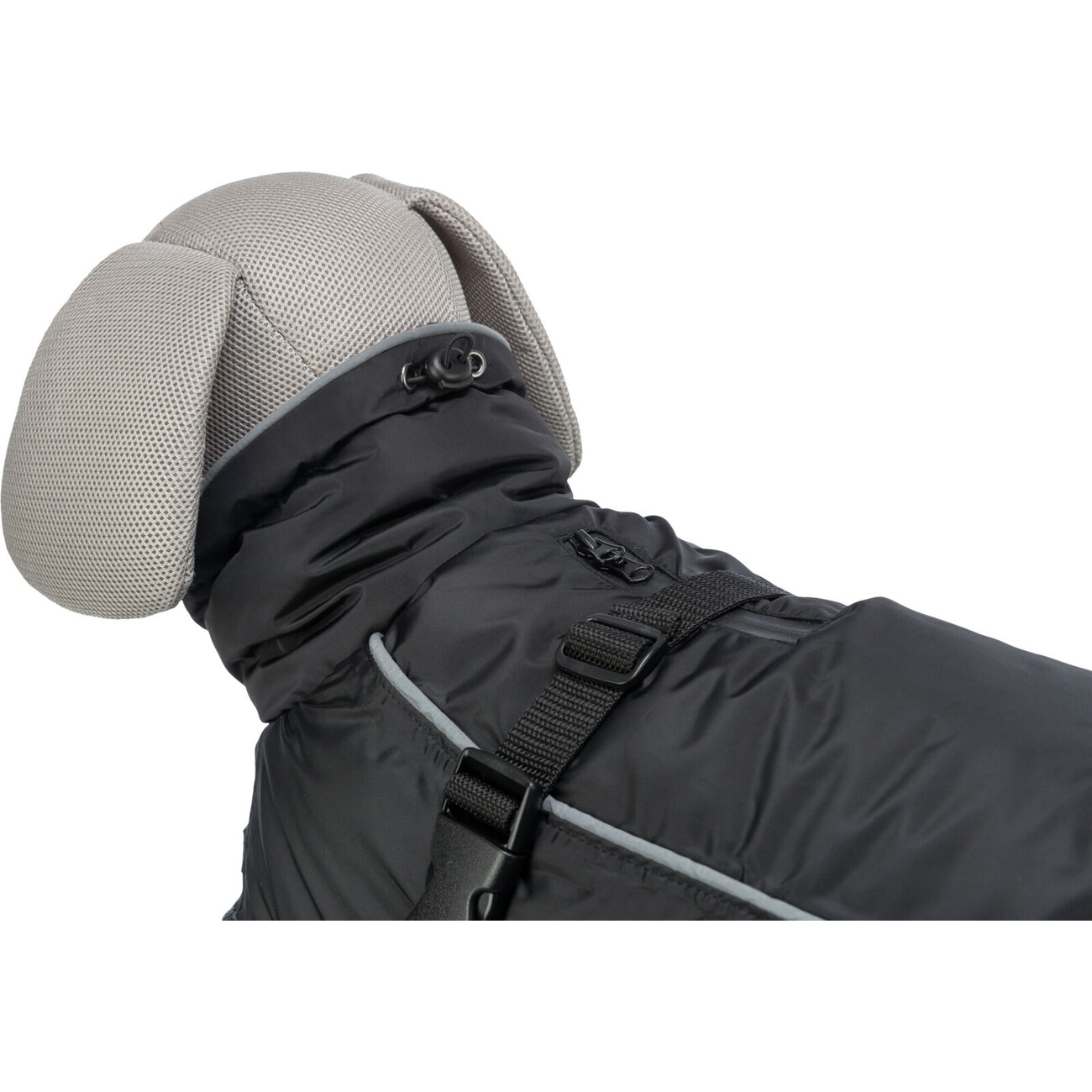 Wintermantel für Hunde Brizon Bild 4