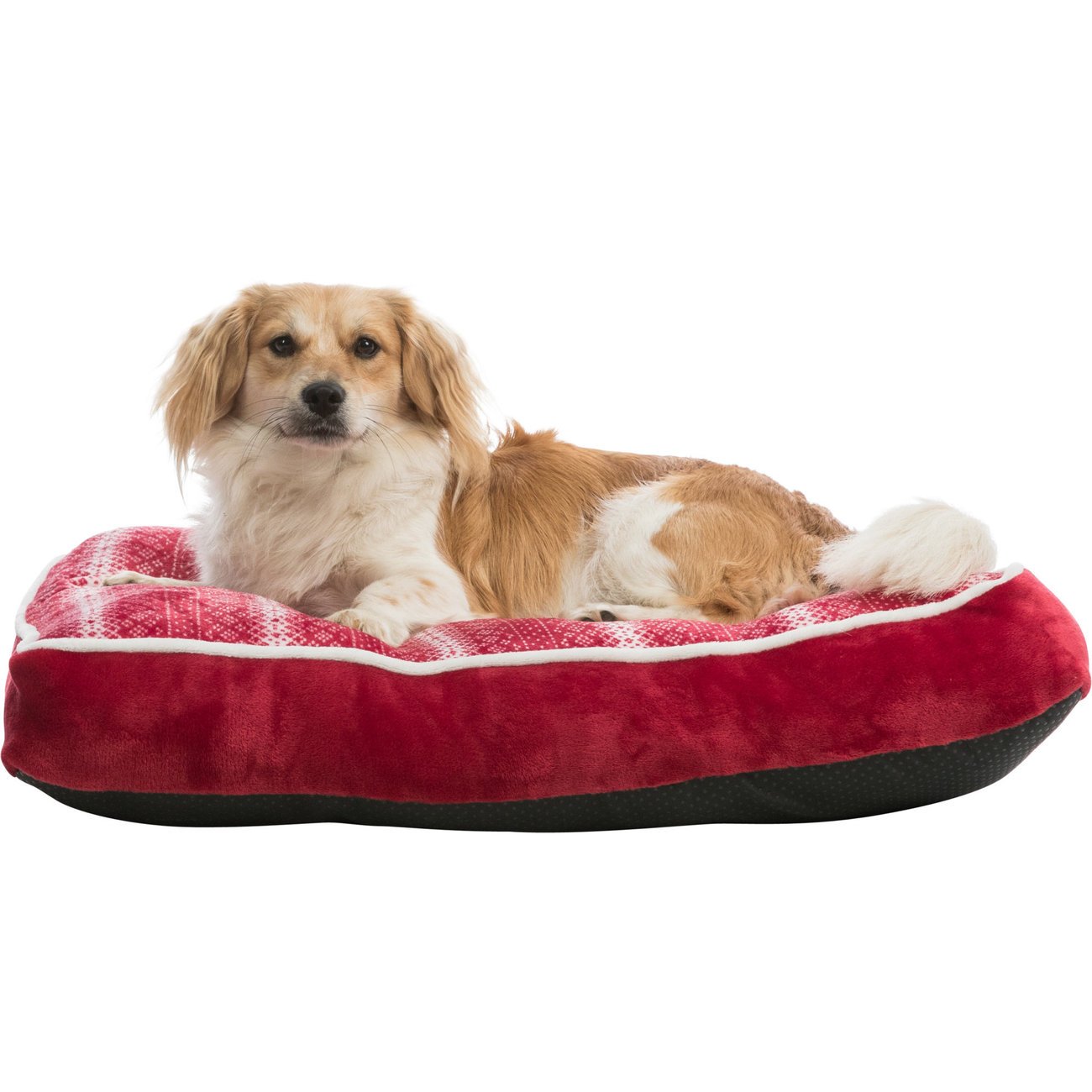 Xmas Hundekissen Lumi Bild 2