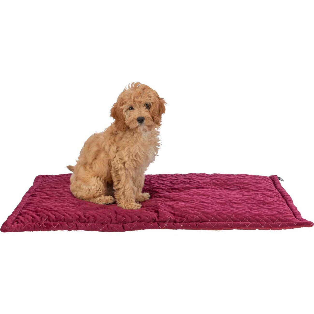Trixie Xmas Liegematte Natalya für Hunde in Samt-Haptik Bild 1