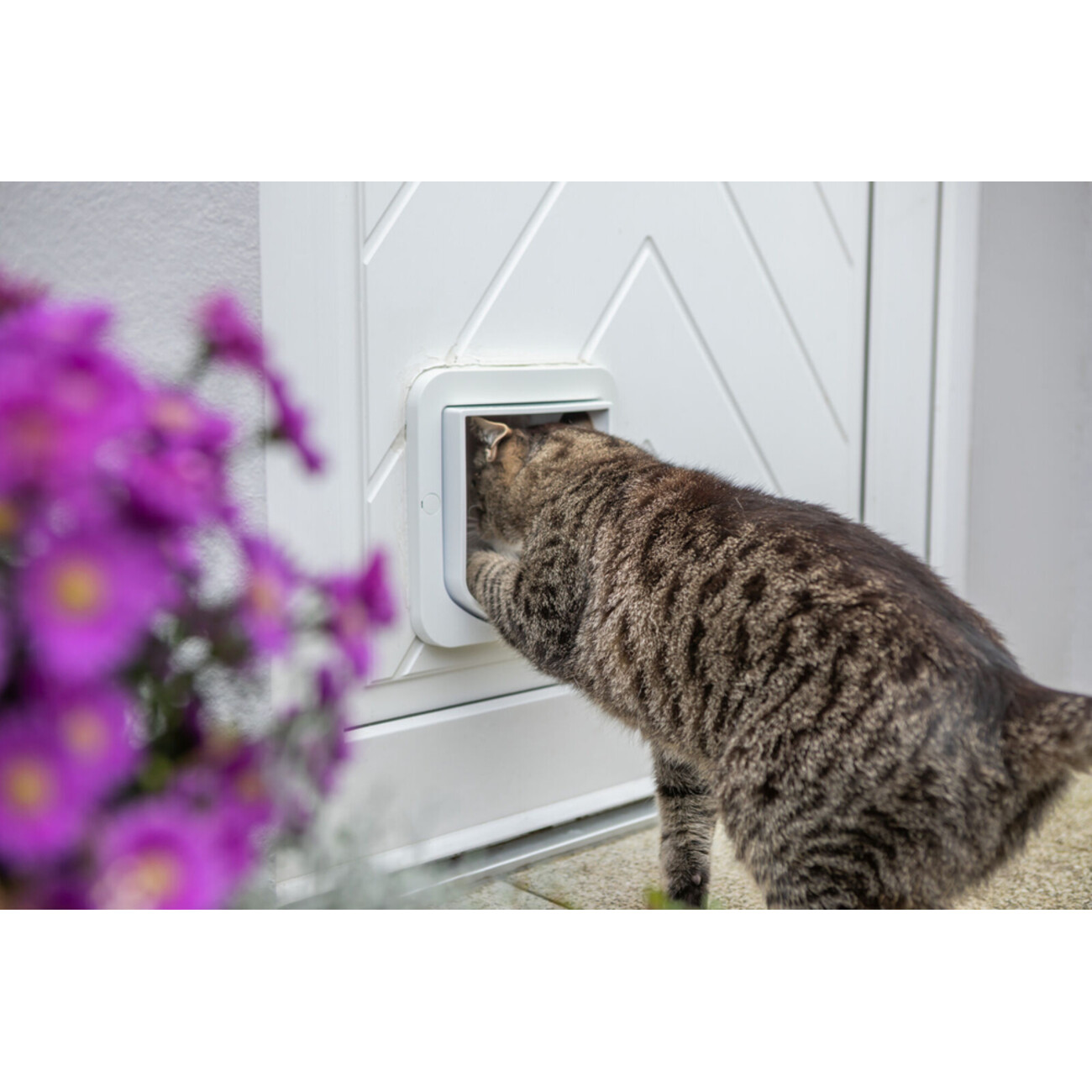 ZeroMOUSE 2.0 - smarte Erweiterung für Katzenklappen mit Beuteerkennung Bild 3