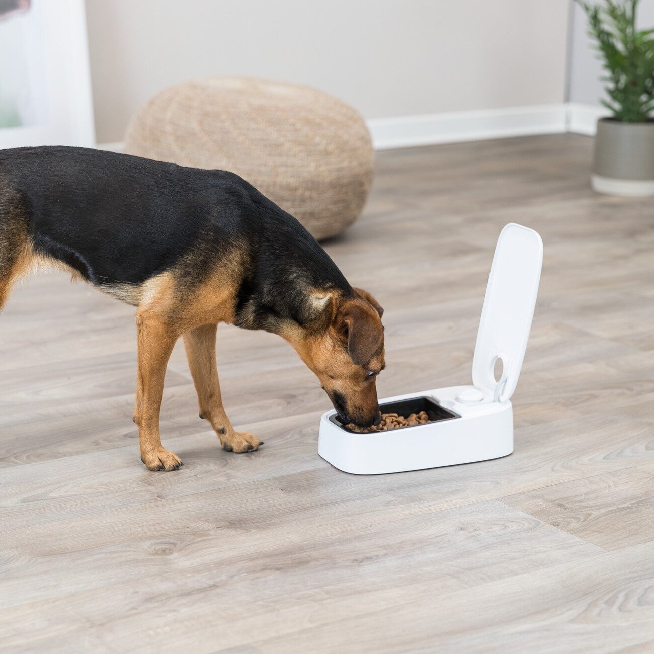 Futterautomat TX1 Bild 6