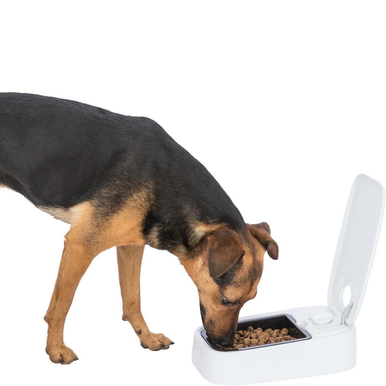 Futterautomat TX1 Bild 9