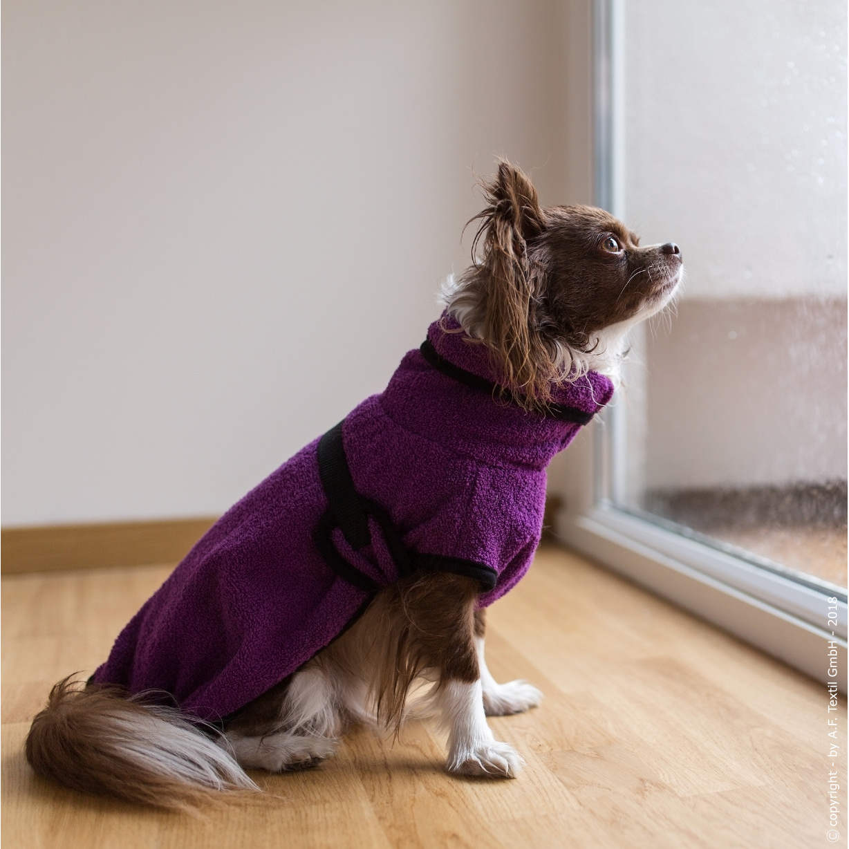 fit4dogs Dryup Mini Trockenmantel für Hunde Bild 12