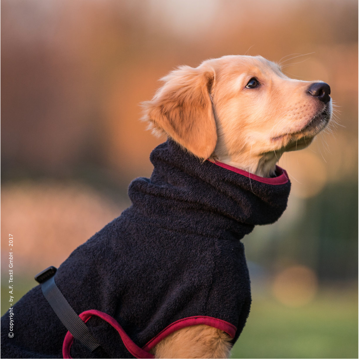 fit4dogs Dryup Mini Trockenmantel für Hunde Bild 7