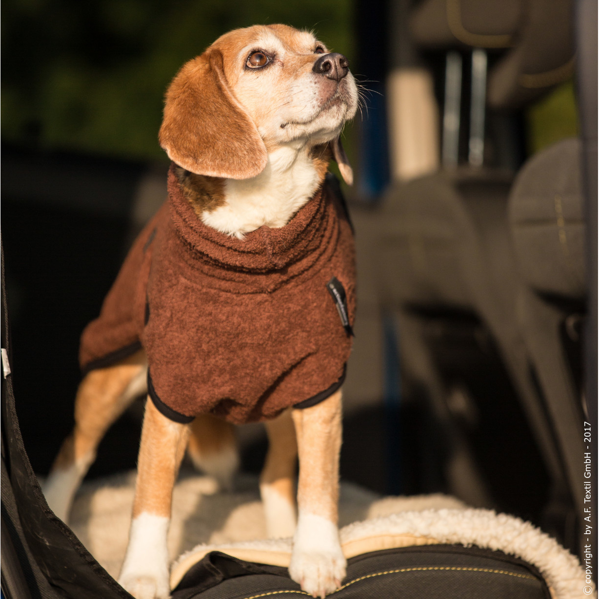 fit4dogs Dryup Mini Trockenmantel für Hunde Bild 10