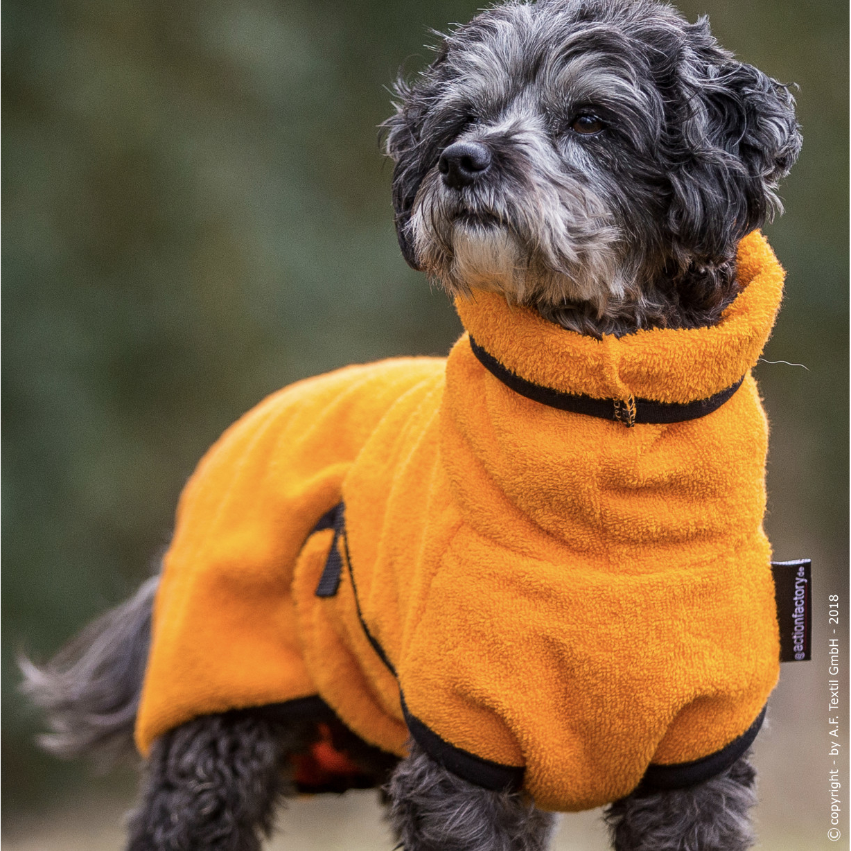 fit4dogs Dryup Mini Trockenmantel für Hunde Bild 8