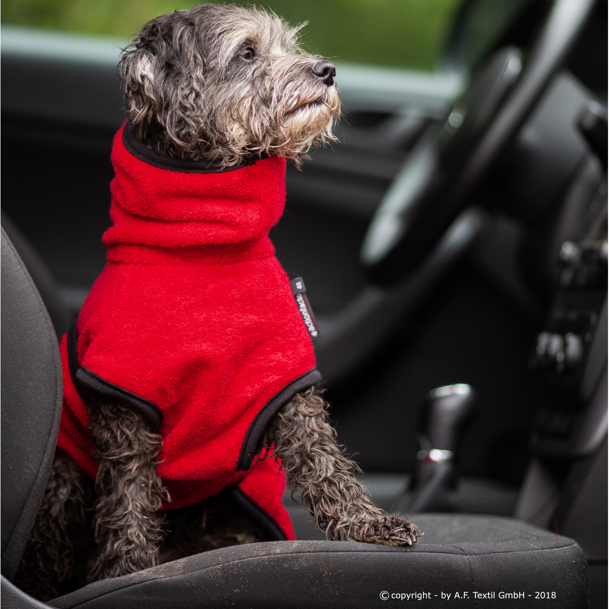 fit4dogs Dryup Mini Trockenmantel für Hunde Bild 9