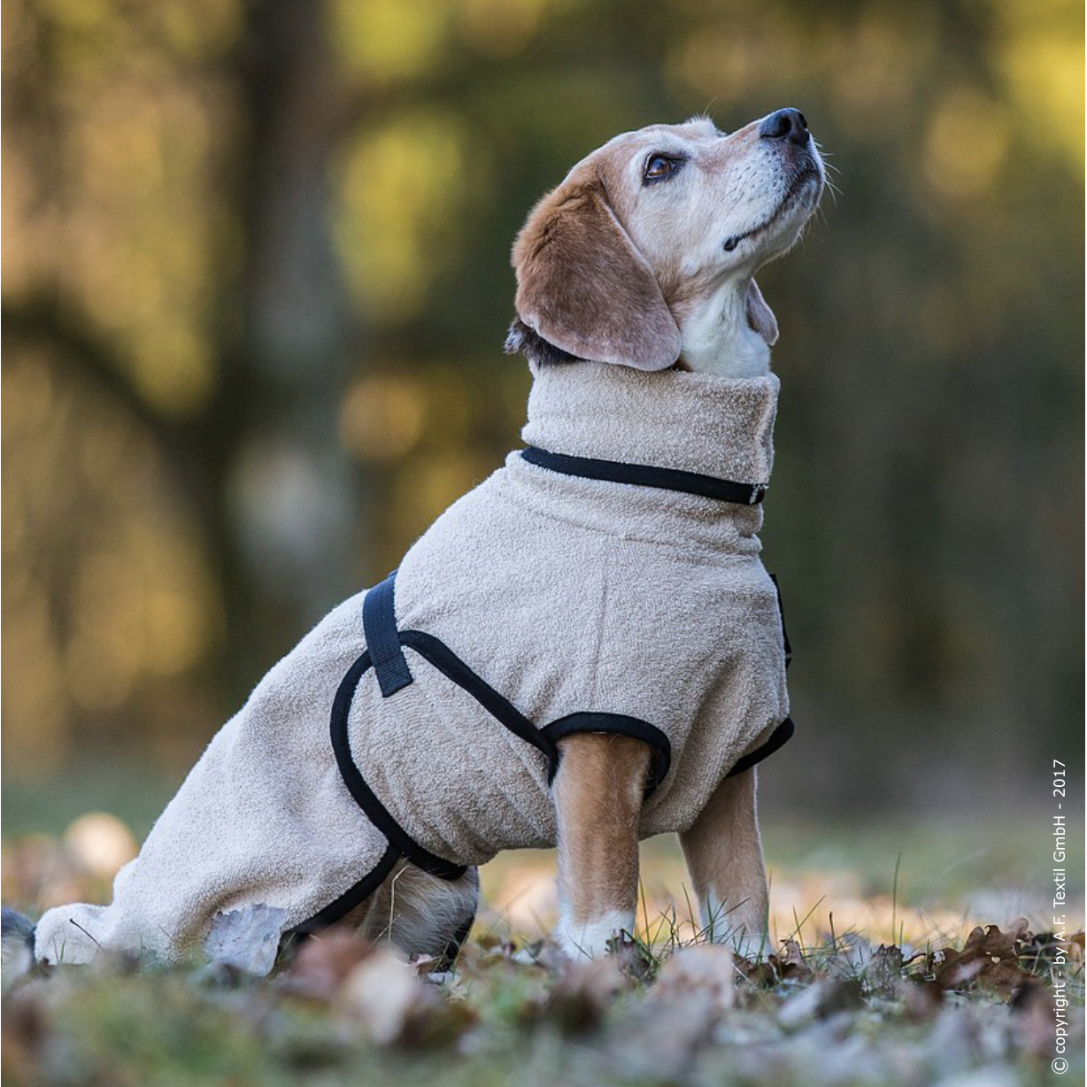 fit4dogs Dryup Mini Trockenmantel für Hunde Bild 18