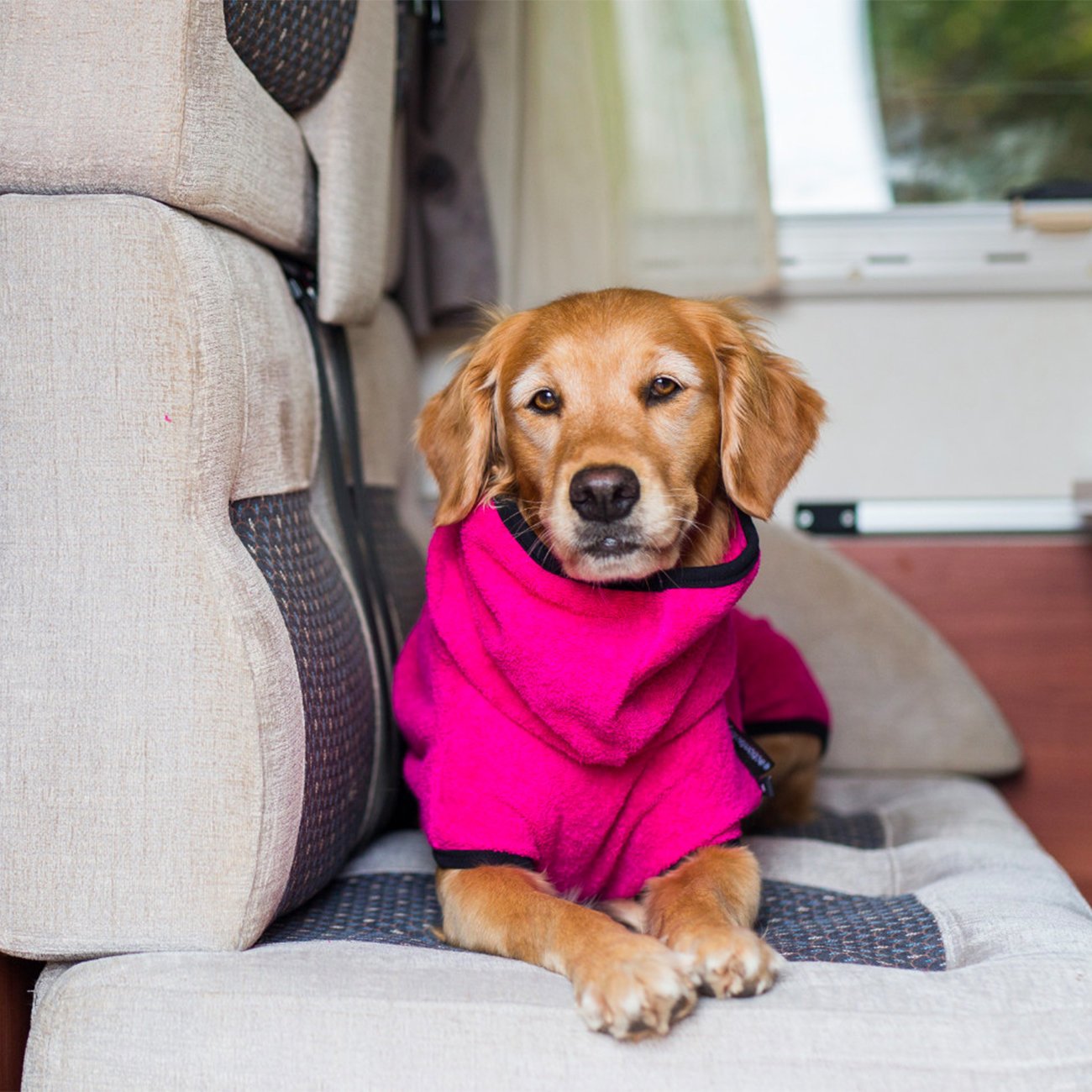 Trockenmantel Hund fit4dogs Dryup Cape Bild 24