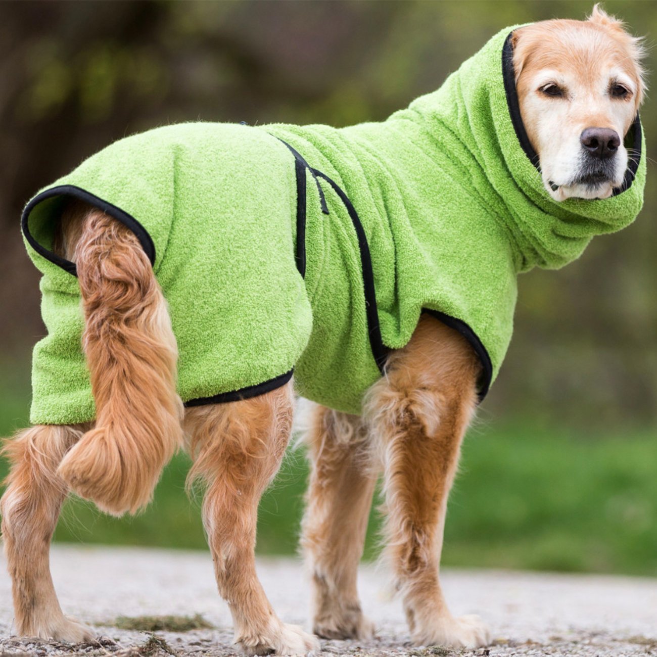 Trockenmantel Hund fit4dogs Dryup Cape Bild 4