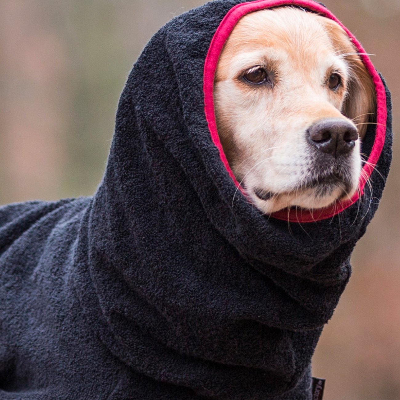 Trockenmantel Hund fit4dogs Dryup Cape Bild 12