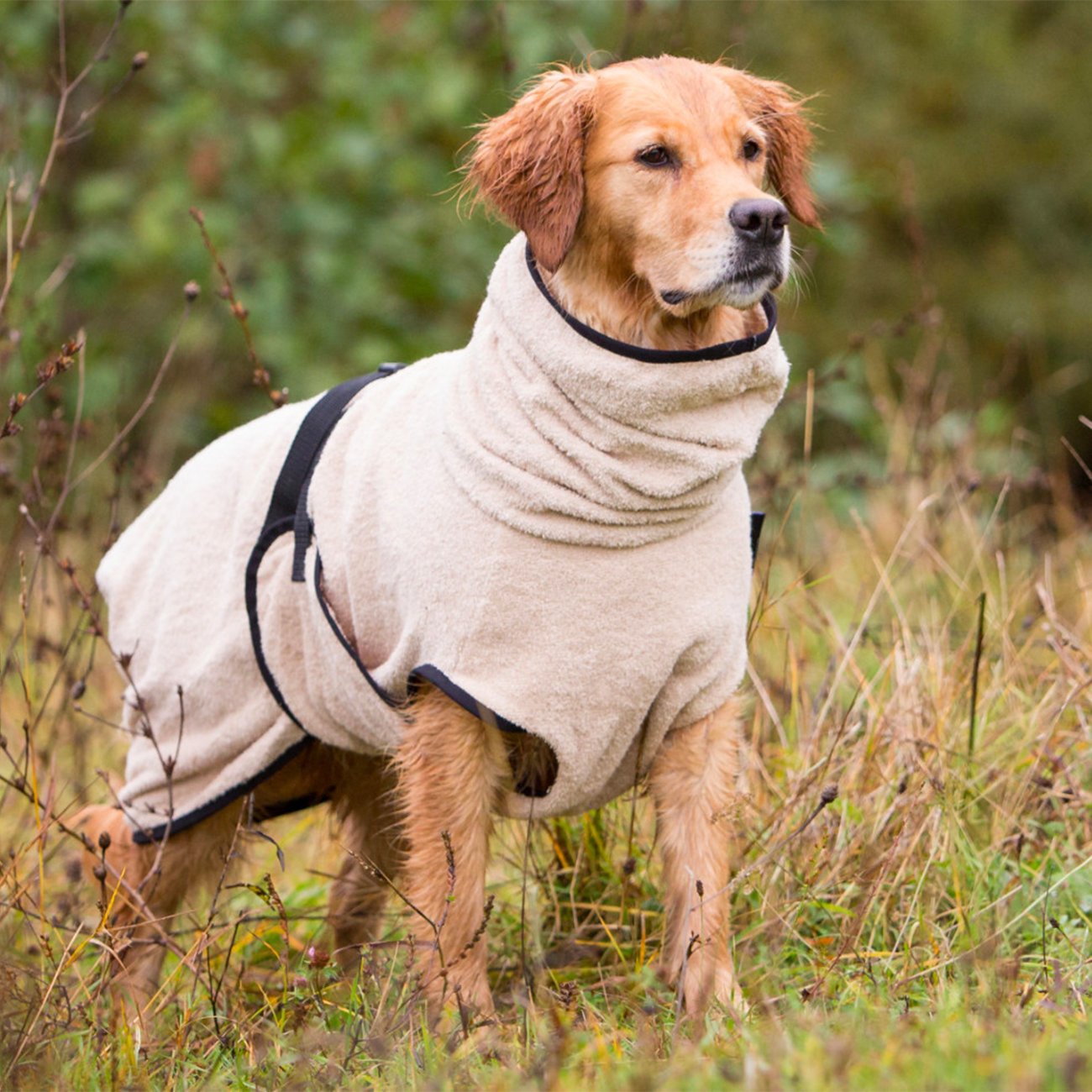 Trockenmantel Hund fit4dogs Dryup Cape Bild 22