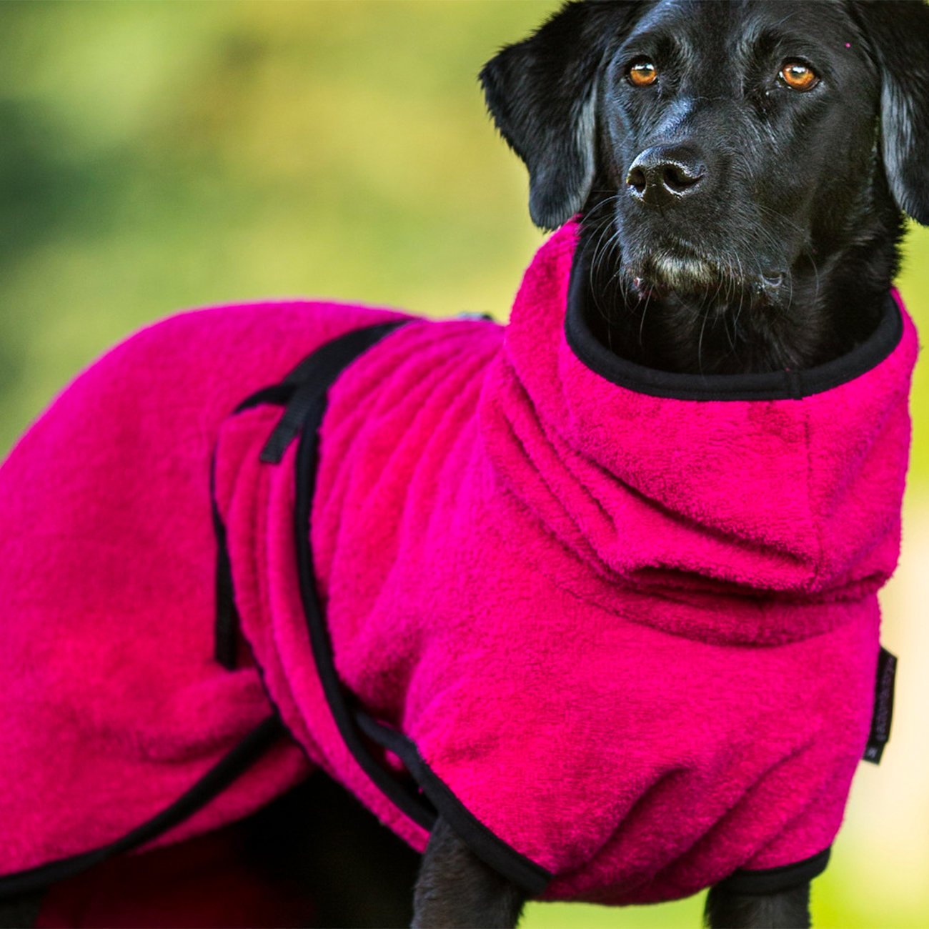 Trockenmantel Hund fit4dogs Dryup Cape Bild 25