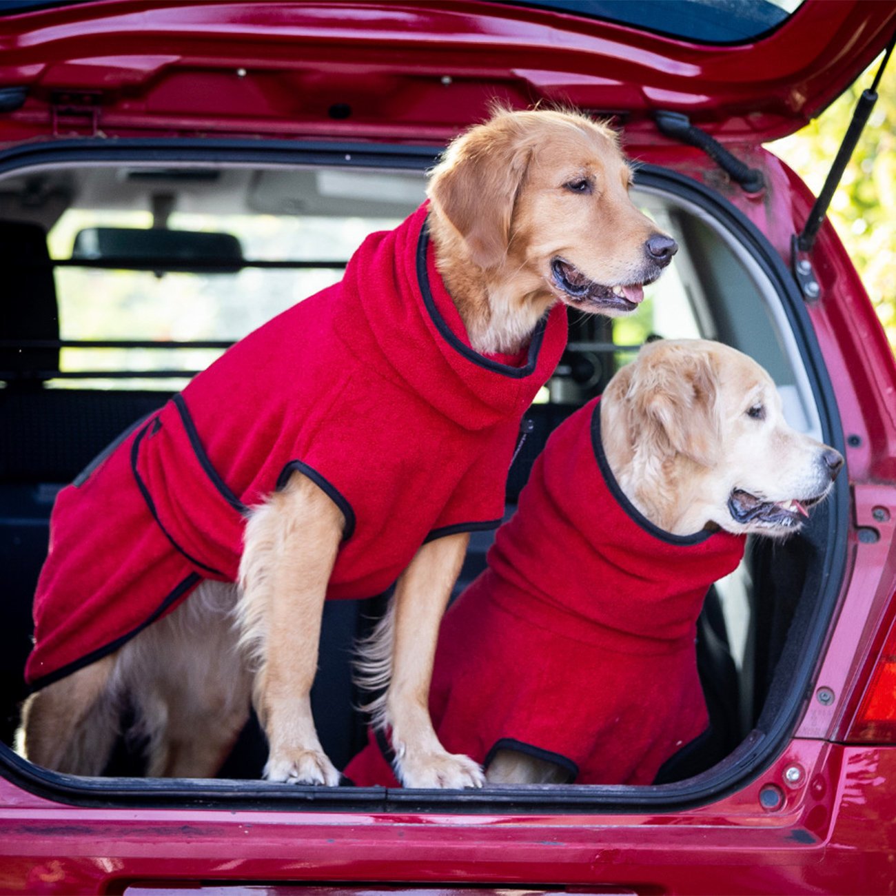 Trockenmantel Hund fit4dogs Dryup Cape Bild 7