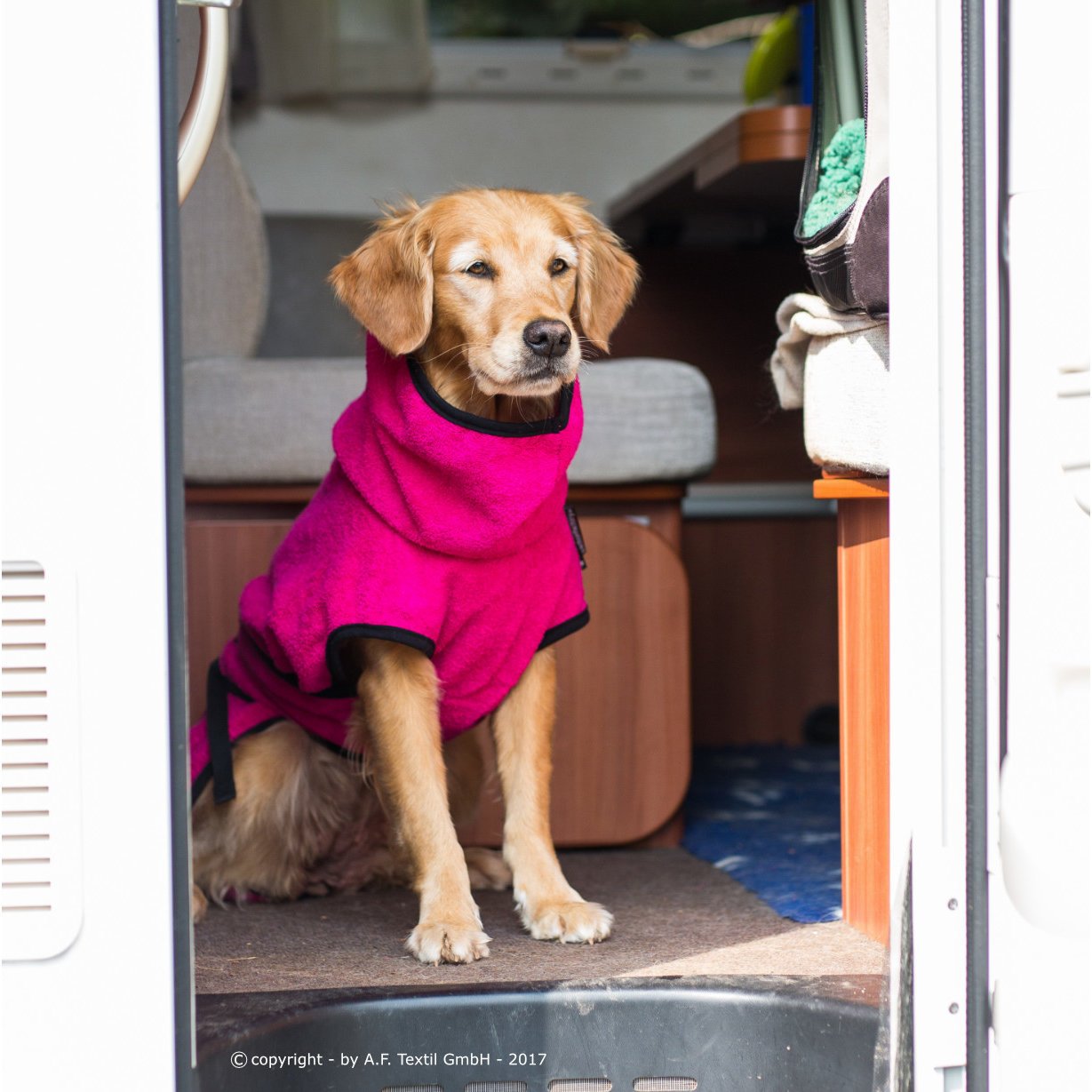 Trockenmantel Hund fit4dogs Dryup Cape Bild 27