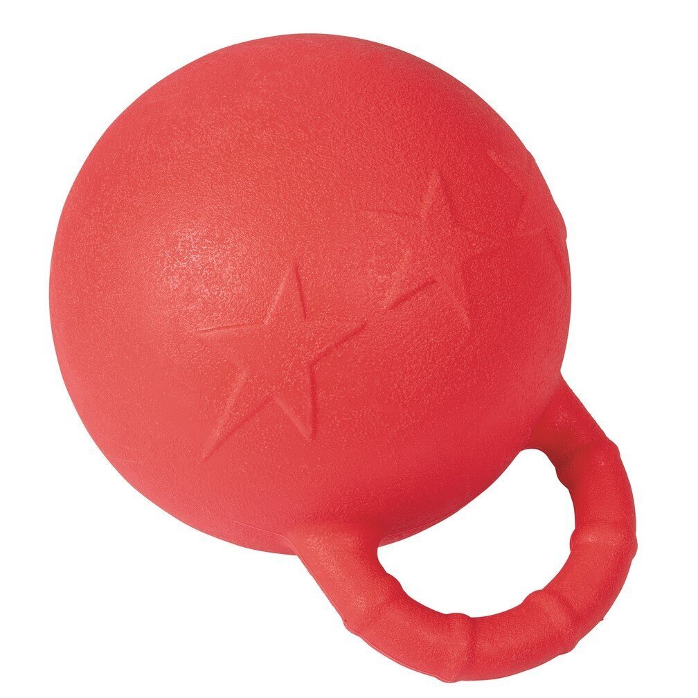 Agility Set für Pferde Bild 4