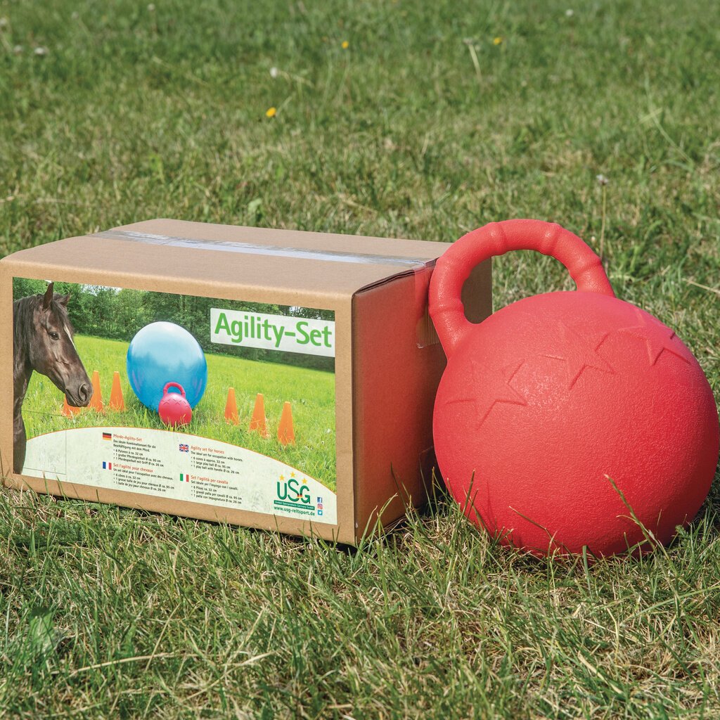 Agility Set für Pferde Bild 1