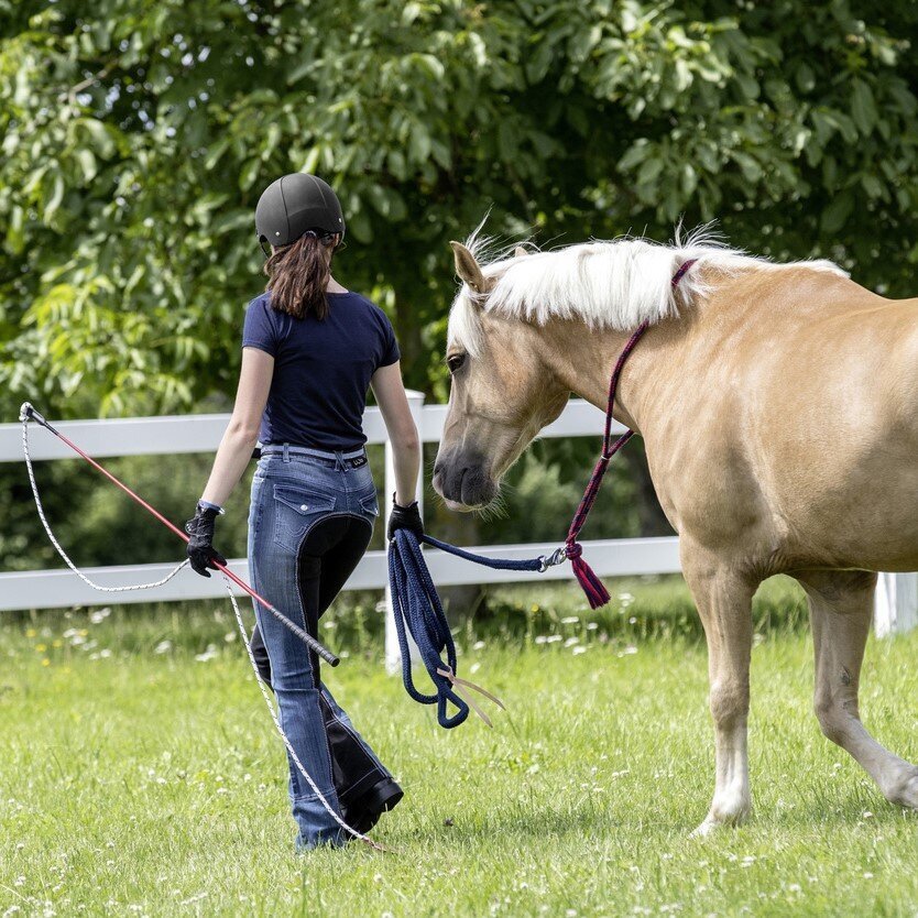 Bodenarbeitsstick mit abnehmbarem Schlag Bild 2